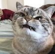 Sebastian