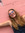 Julianne (juliannegryder) | 3 comments