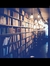 A.Female.Bibliophile's