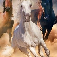 Archana Dalvi Bhandare