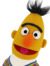 YBN BERT