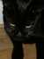 Anneke
