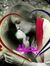 Amy Ehab