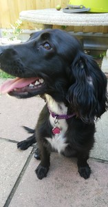 Charley