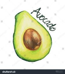 Avocado