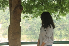 प्रकृति अधिकारी