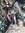 Taylor | 7 comments
