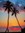 Kelly Troxell | 4 comments