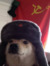 Khanh N...