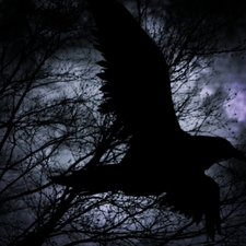 Raven Black