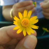 Ulil NyJusuf