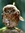 Noctua