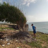 Shitul Sachania