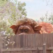 Mans Van Boesschoten