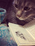 Mr. Jingles