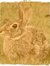 Rabbits