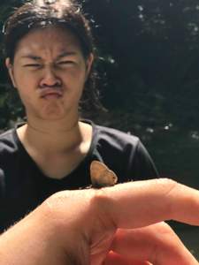 Piangsuree M.