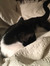Renee W...