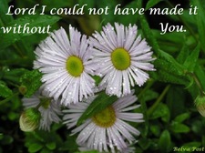 Sandra Vaughan Baker