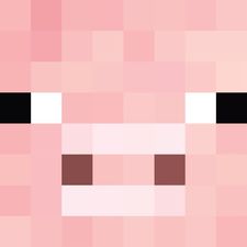 Minecraft Pig