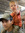 Andrew | 1 comments