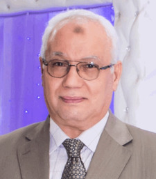 Mahmoud Abdelfattah Elsherief