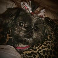 Charletta Wintters-Gregory