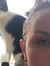 Tove