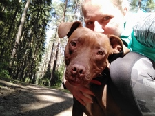 The mother Of Pitbull