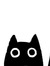Saleha