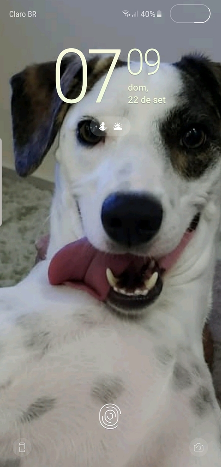 Goodreads profile picture for @sanches