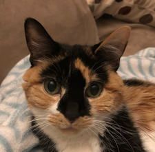 Chandra