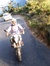 Raveendran