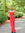Shanda Writer | 1 comments