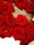 Lucia C...