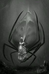 Shawn Busche