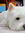 May (myan147) | 1 comments