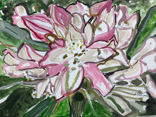 Julie Russo