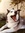 marlise (husky101) | 7 comments