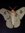 Heather (innermoth) | 1 comments