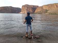 Avinash Nayal
