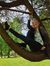 Sofie W...