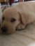 Abhishe...
