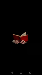 بلقيس عثامنه