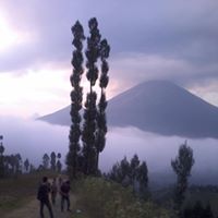 Mohammad Lutfi