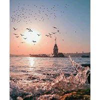 رهف ابو بدر