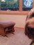 Zoey