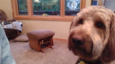 Zoey