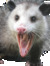 ara
