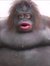 Zach.w